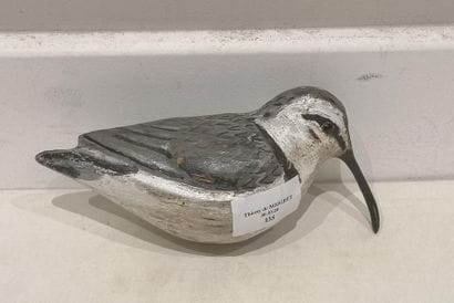 Bécasseau cocorli (bécassot). Appelant tout...