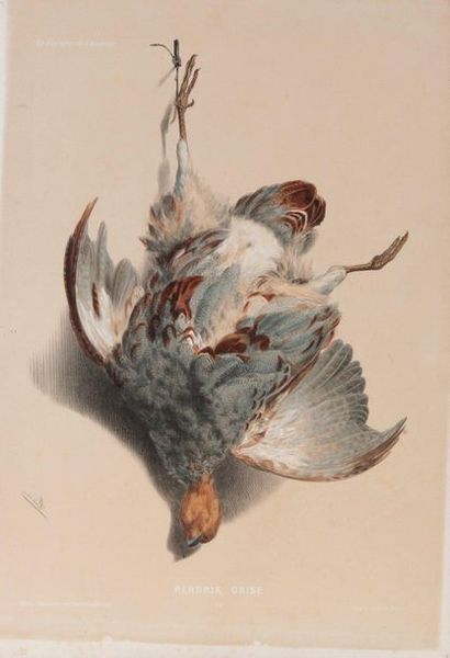 Albert ADAM. Grey Partridge / Woodcock. Pair...