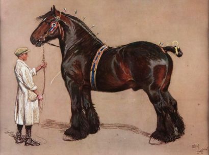 Cecil ALDIN. The presentation of competition...