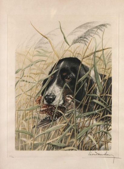 Leon DANCHIN. Dog and snipe. Colour etching...