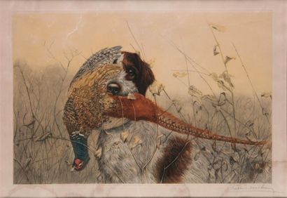 Léon DANCHIN. Griffon korthals and pheasant....
