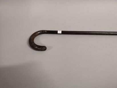 Seat cane