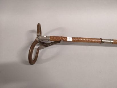 Seat cane