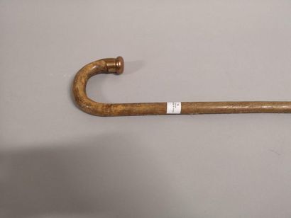 Cane with a curved beef rib handle