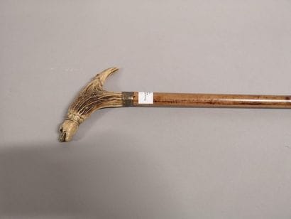 Beautiful cane with antler handle showing...