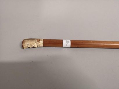 Grotesque deer antler cane with cap, blond...