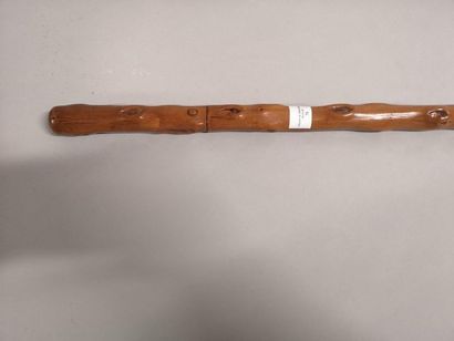 Push-blade system cane, thorn barrel