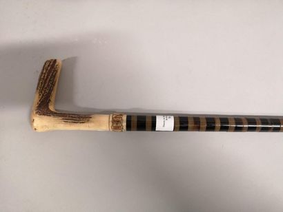 Deer antler handle cane