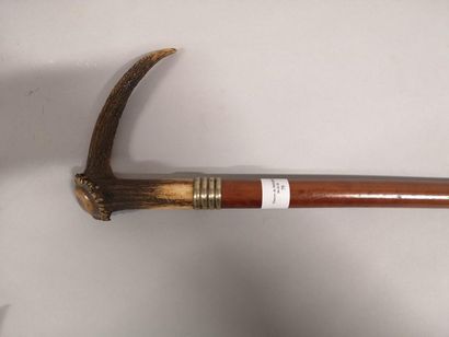 Cane with antler handle, silver plated metal...