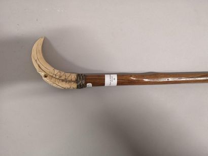 Carved warthog cane toucan head