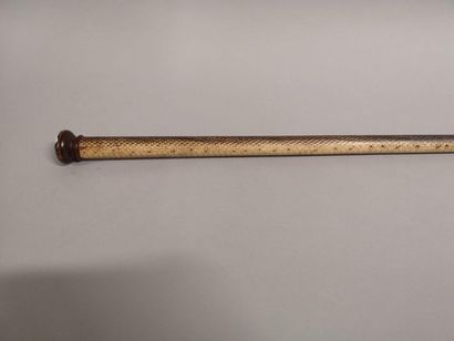 Reptile-covered boxwood pommel cane
