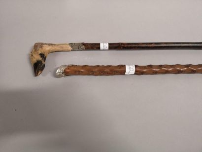 Cane with deer leg handle, Cane was rust...