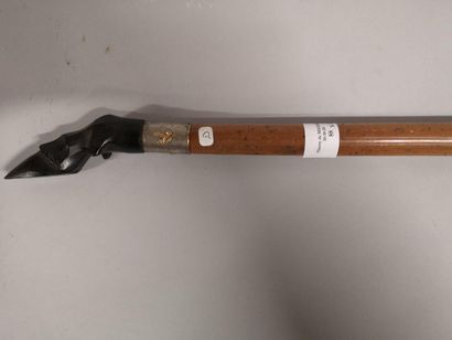 Chamois horn slice cane, Chamois foot handle...
