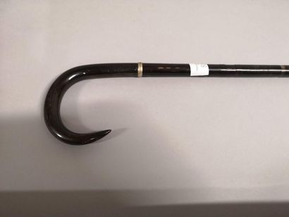 Chamois horn slice cane, Chamois foot handle...
