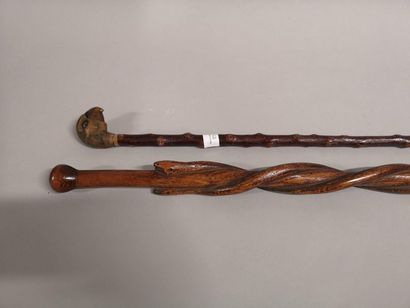 Cane folk art 2 snakes, Cane pommel parrot...