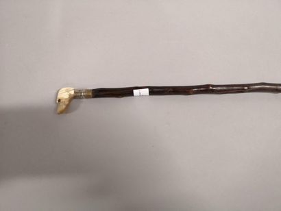 Thin lady's cane in horn