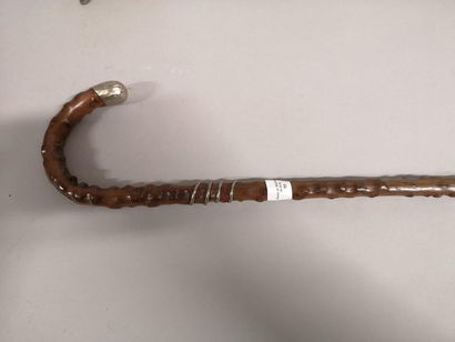 Curved handle cane