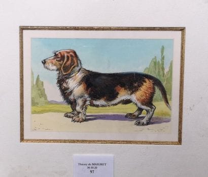 Jean Alfred DUPUICH (act. circa 1950). Dachshund...