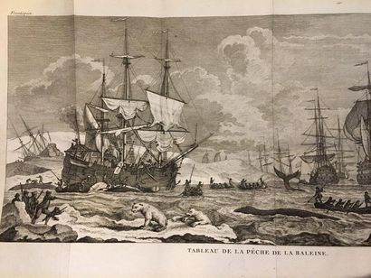 [VOYAGES]. ZORGDRAGER (Cornelis Gijsbertsz).
Histoire...