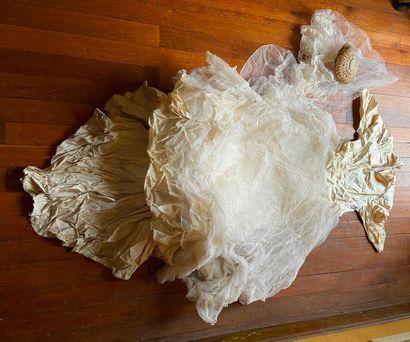 Wedding dress, braided headdress and tulle...