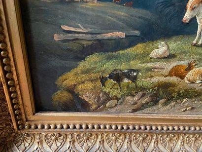School of the XIXth century

Herds in a mountain...