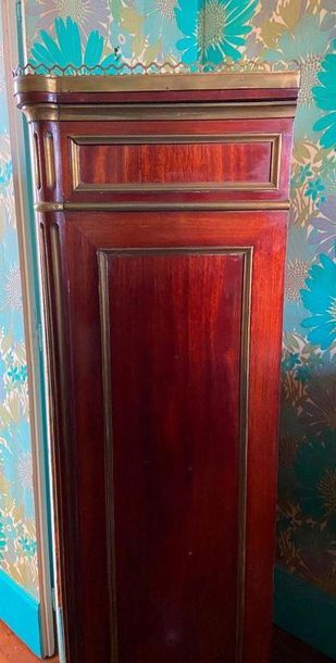 Louis XVI style display case with brass fillets...