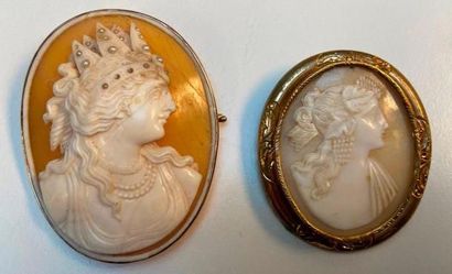 Deux camées coquille montés en broche, profil...