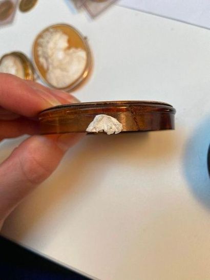Deux camées coquille montés en broche, profil...