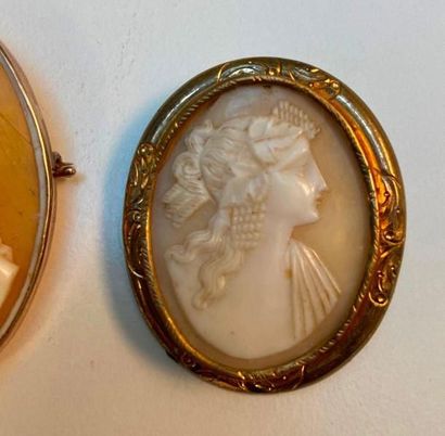Deux camées coquille montés en broche, profil...