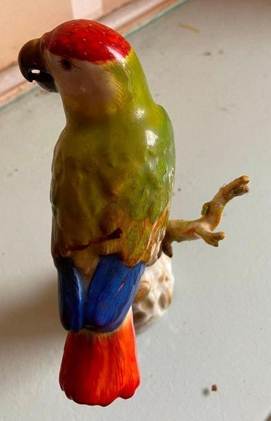 Perroquet en porcelaine polychrome
Marque
H:...