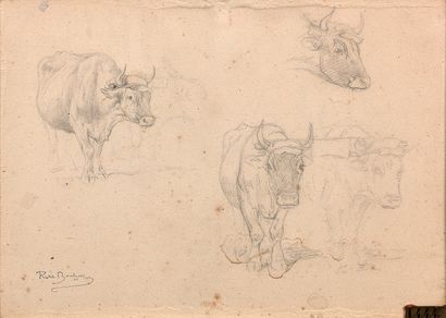 Rosa BONHEUR (Bordeaux 1822 - Thomery 1899)

Étude...