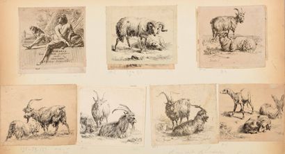 Nicolas BERGHEM (1620-1683)

Sheep, goats,...