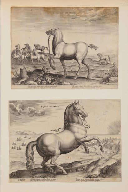Philippe GALLE (1537 - 1612)

Horses.

4...