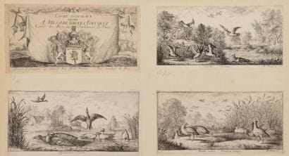 Albert FLAMEN (1620-1692)

Book of Birds...