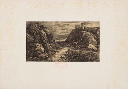 Rodolphe BRESDIN (1822 - 1885)

The distant...
