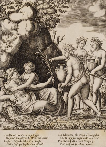 MASTER TO THE DE'(1512-1570)

Daphne embracing...