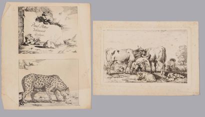 Paul POTTER(1625-1654) and after

Cows and...