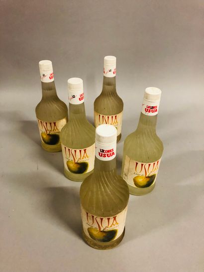 5 bouteilles LIQUEUR DE POMME Usua