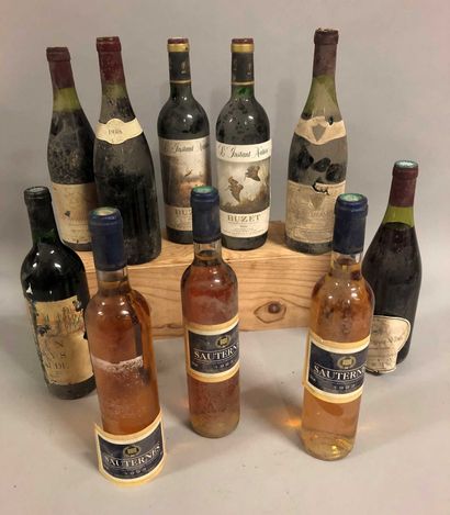 10 bouteilles VINS DIVERS (Sauternes, Buzet,...