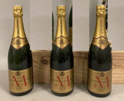 3 bouteilles CHAMPAGNE MONTAUDON1996