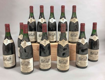 12 bouteilles SAINT NICOLAS DE BOURGUEIL...