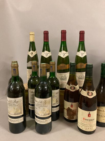 11 bouteilles VINS BLANCS DIVERS (Bourgogne,...