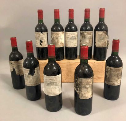 10 bouteilles MARQUIS DE SAINT-ESTEPHE 1989...
