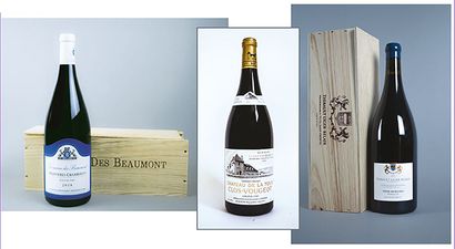 Lot composed of:
A magnum of Mazoyères-Chambertin...