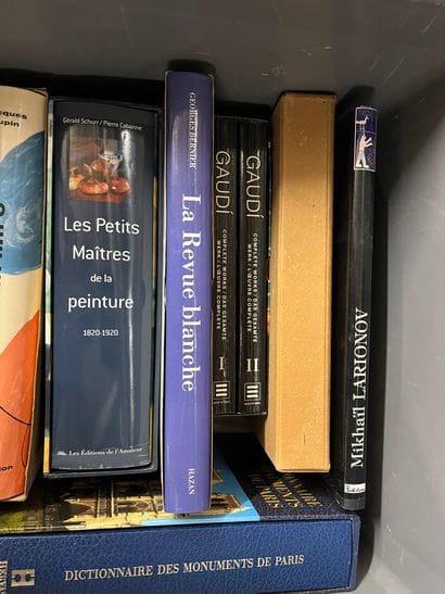 Case of art volumes including Basquiat, Gaudi...