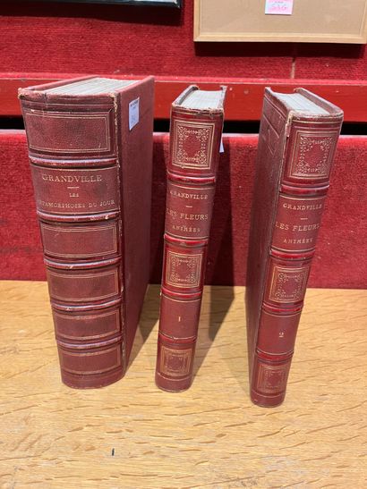 3 volumes of Grandville. Metamorphoses. Animated...