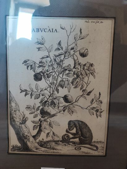 Lot of about 7 engravings and reproductions...