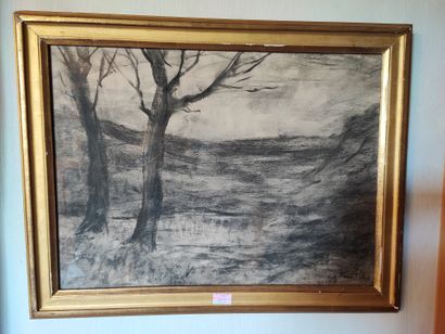 Eugène POINTELIN
Paysages
Huit fusains 
Signés...