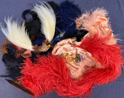 J -Lot of ostrich and bird feathers in various...