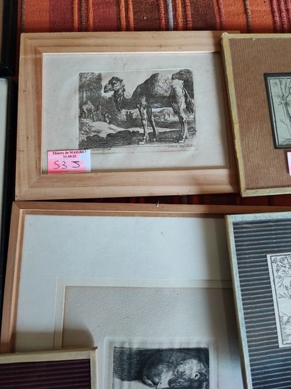 Set of approximately 14 reproductions, framed...